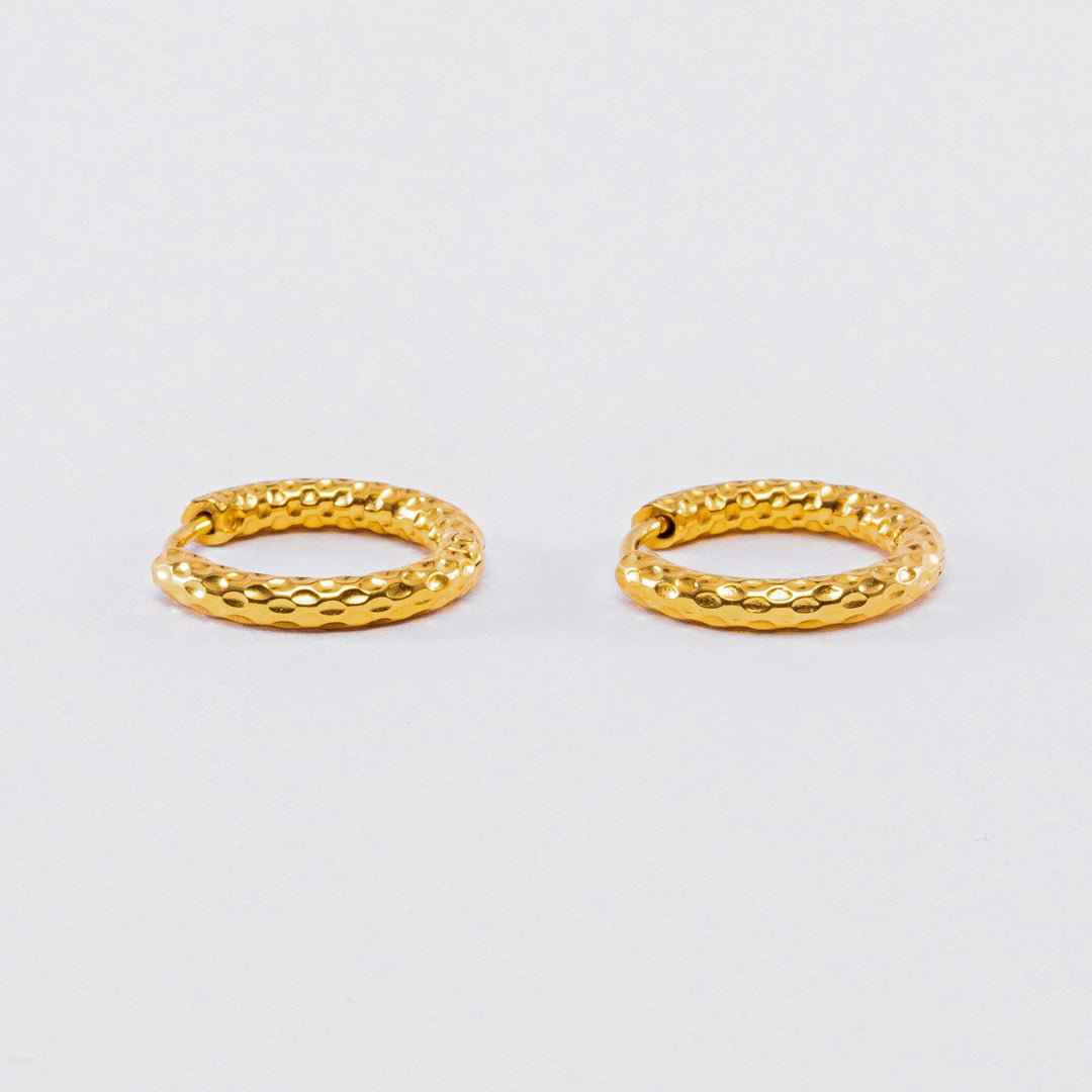 Hammered Chic Earrings