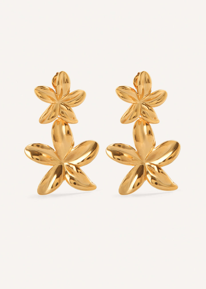 Boucles Waïna : Élégance en Mouvement
