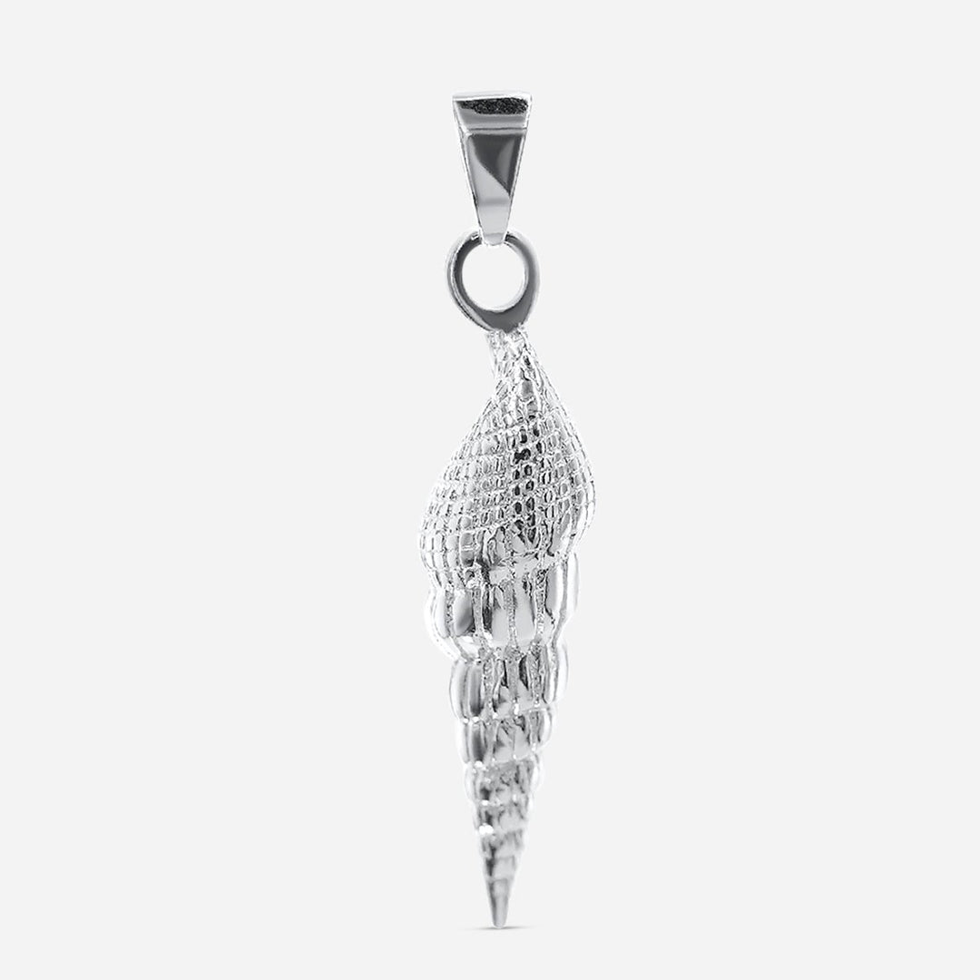 Spiral Shell Elegance
