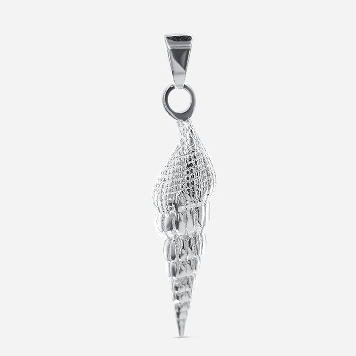 Spiral Shell Elegance