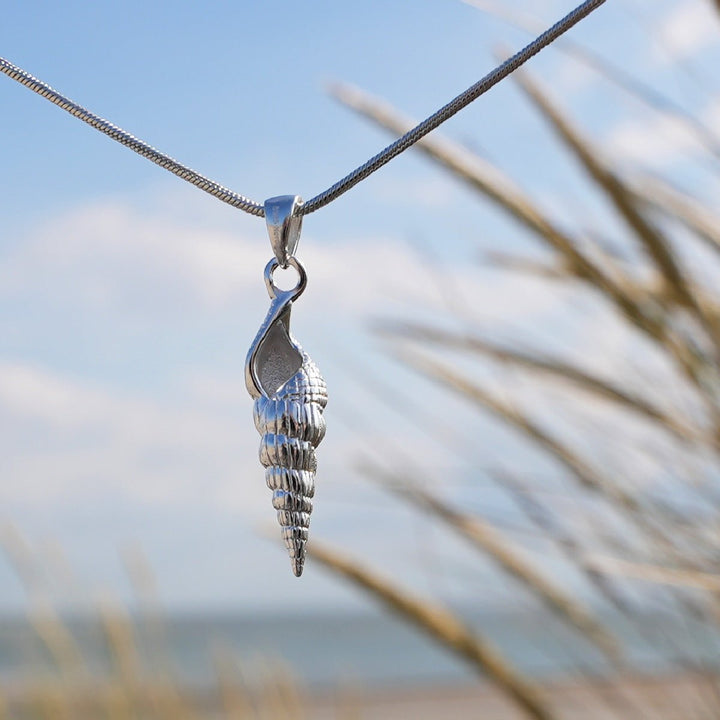 Spiral Shell Elegance