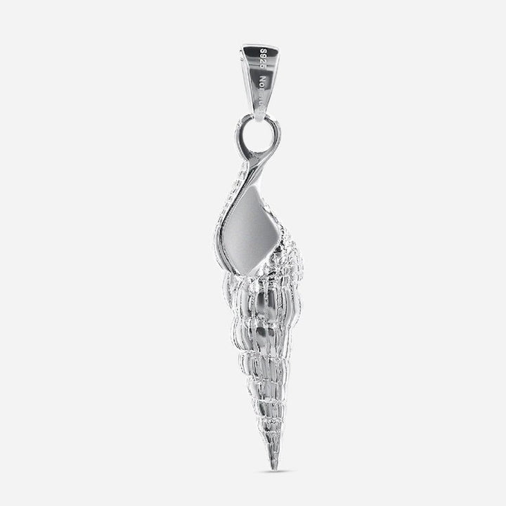 Spiral Shell Elegance