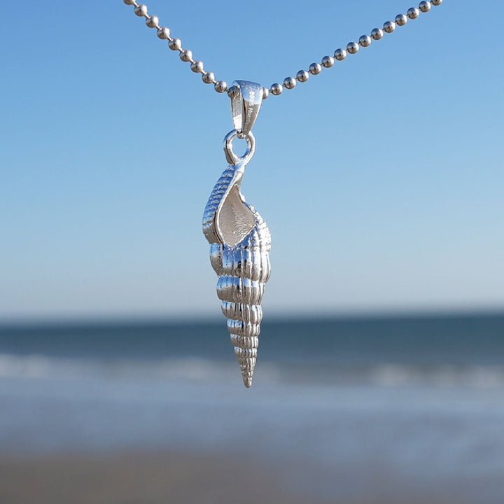 Spiral Shell Elegance