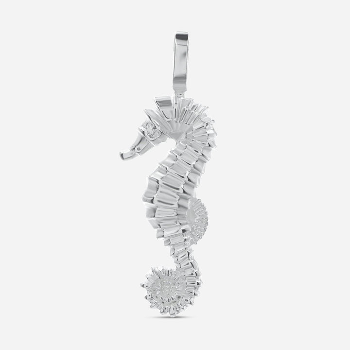 Silverwave Hippocampe