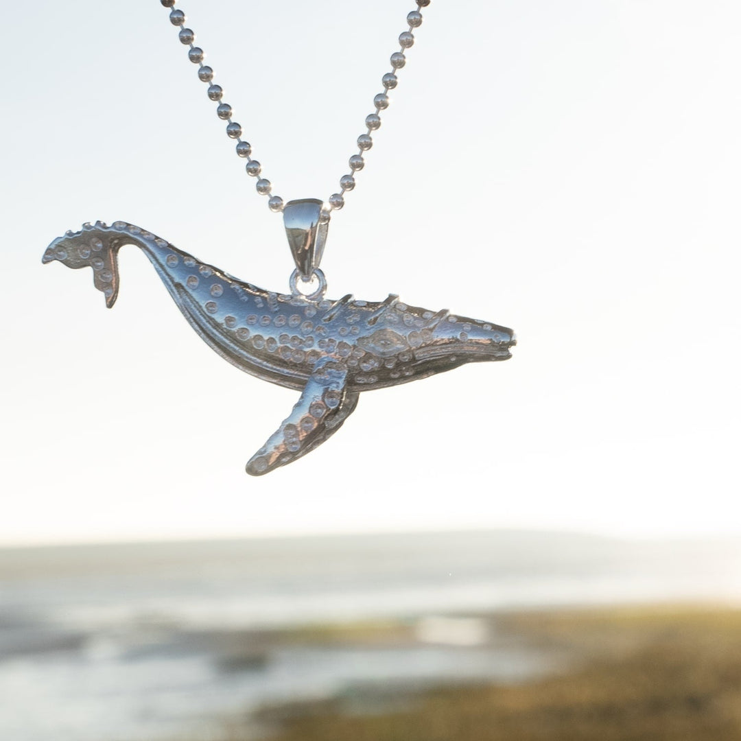 Baleine - Enchanting Elegance