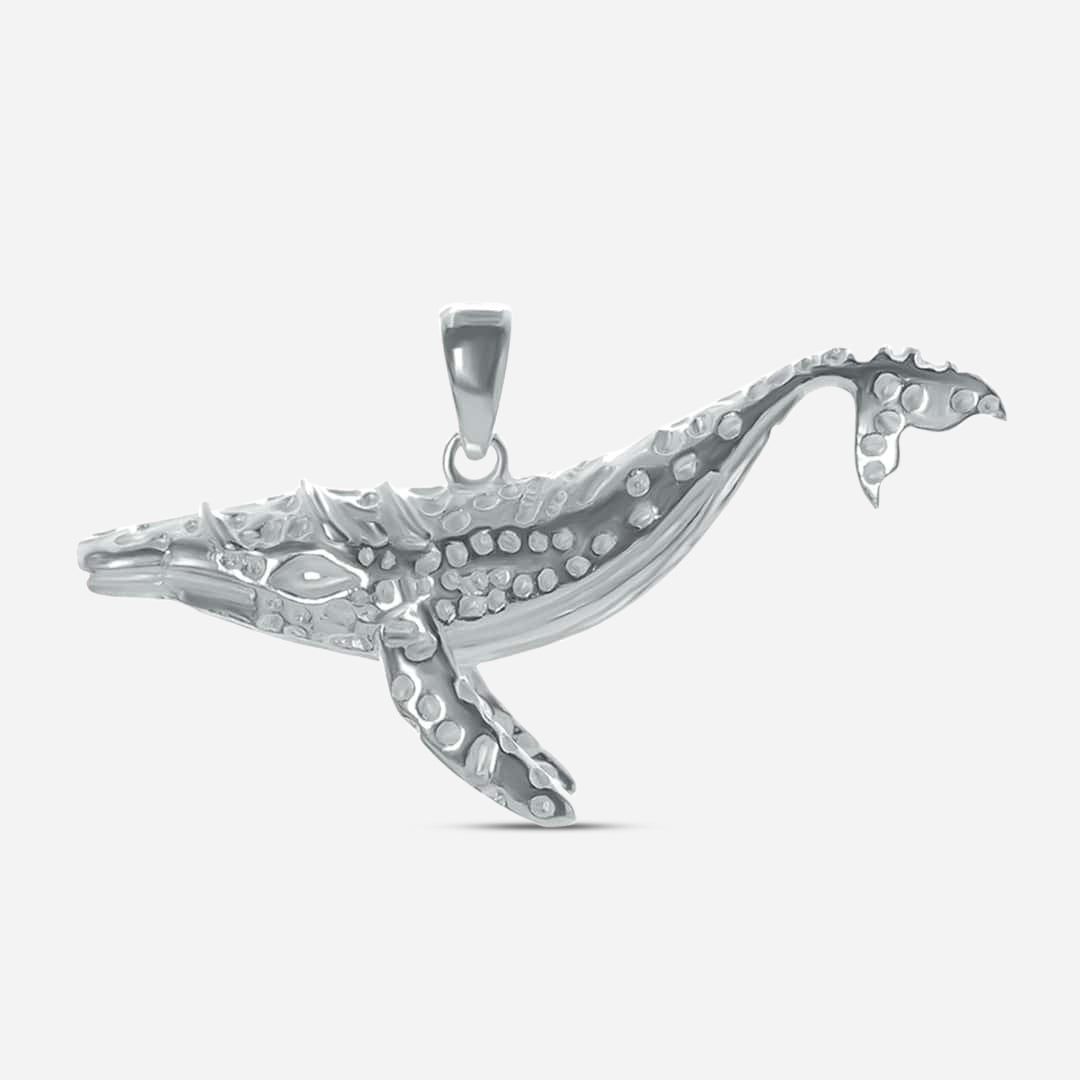 Baleine - Enchanting Elegance